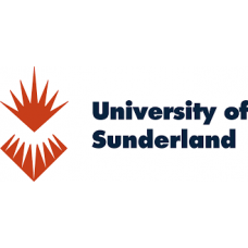 Business Management (Business Analytics) BSc (Hons) - University Of Surrey